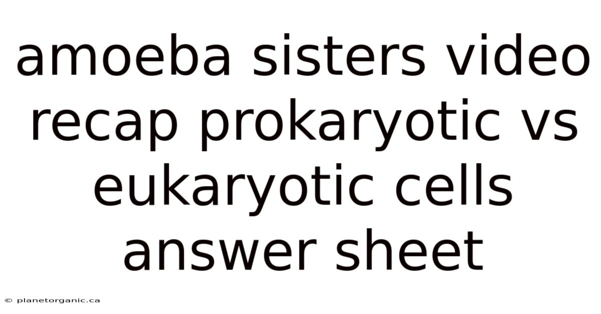 Amoeba Sisters Video Recap Prokaryotic Vs Eukaryotic Cells Answer Sheet