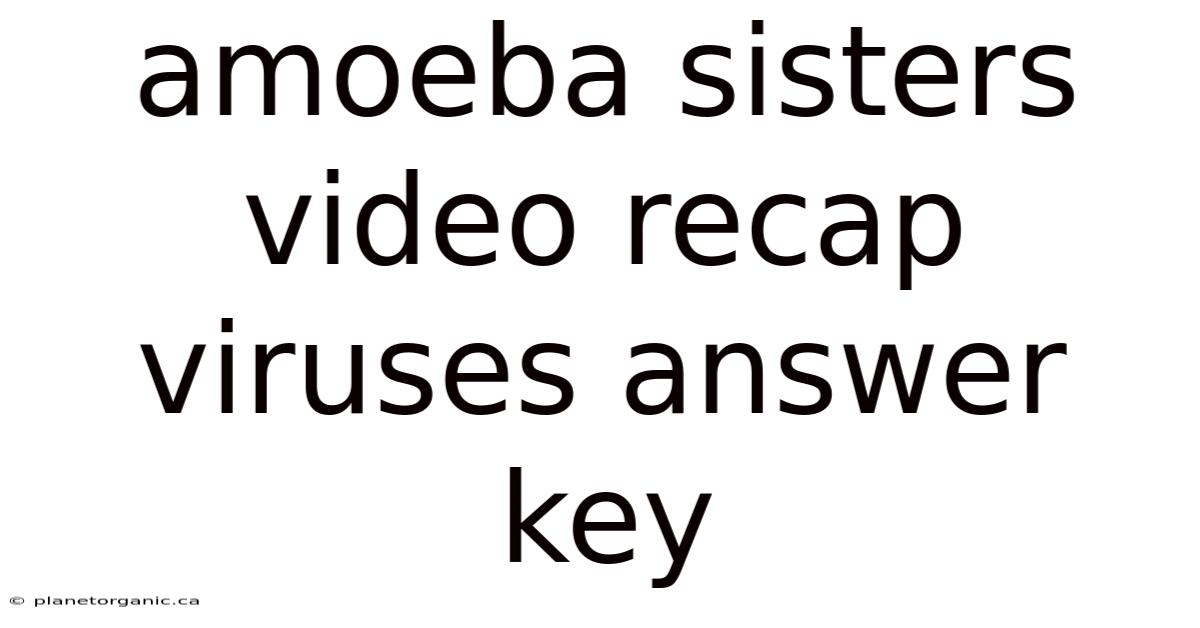 Amoeba Sisters Video Recap Viruses Answer Key