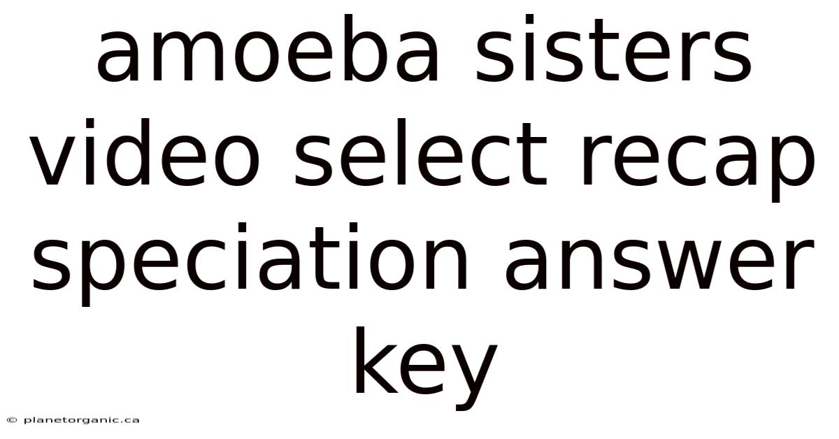 Amoeba Sisters Video Select Recap Speciation Answer Key