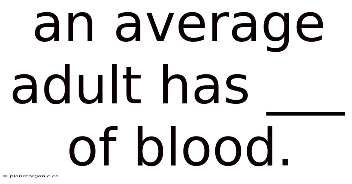 An Average Adult Has ___ Of Blood.