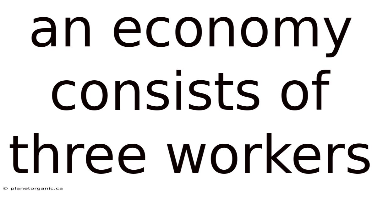 An Economy Consists Of Three Workers