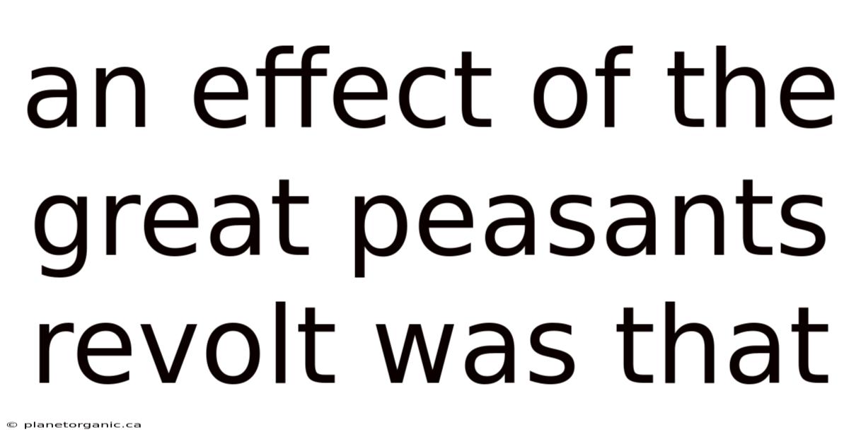 An Effect Of The Great Peasants Revolt Was That