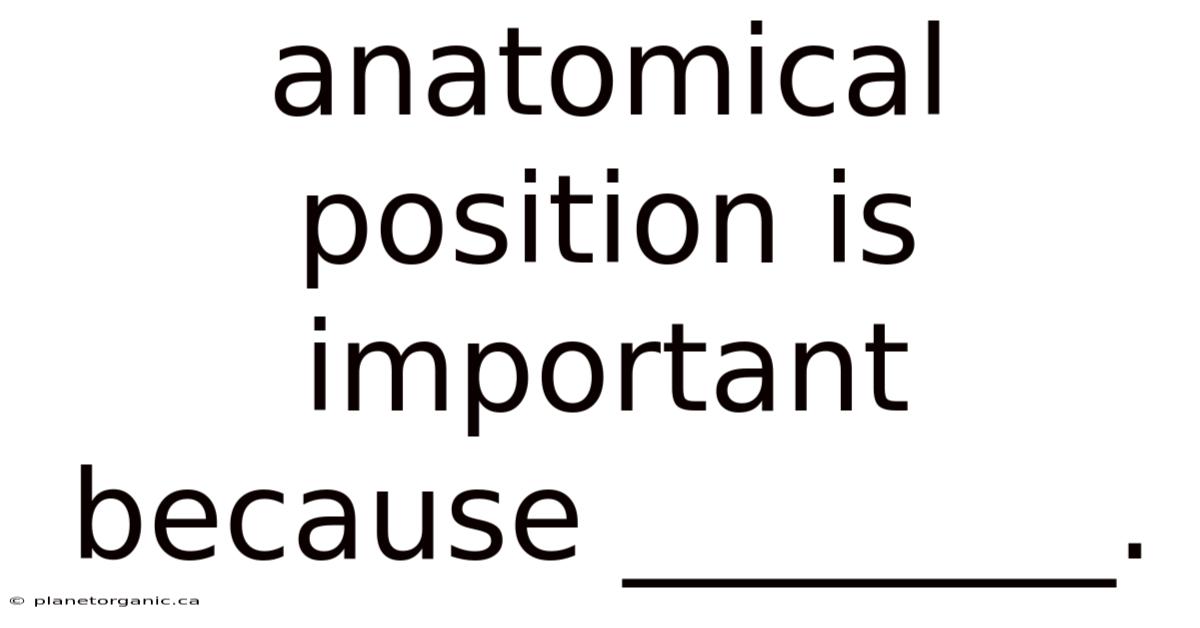 Anatomical Position Is Important Because ________.