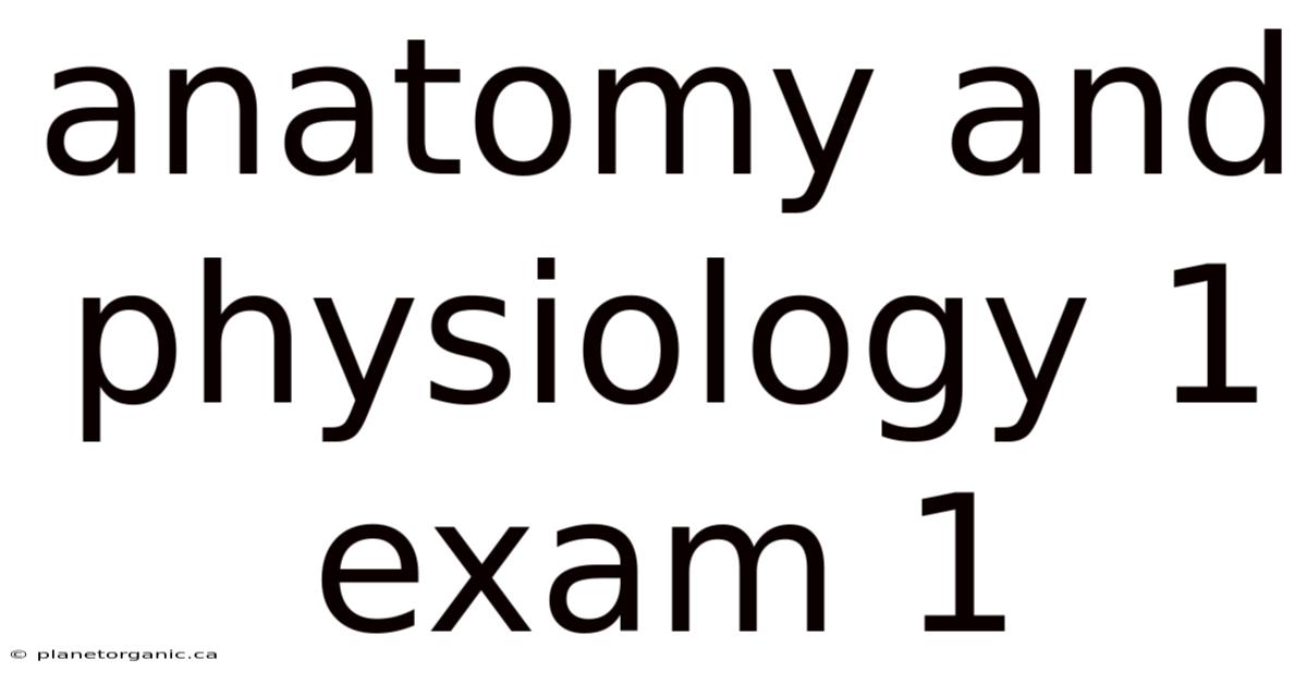 Anatomy And Physiology 1 Exam 1