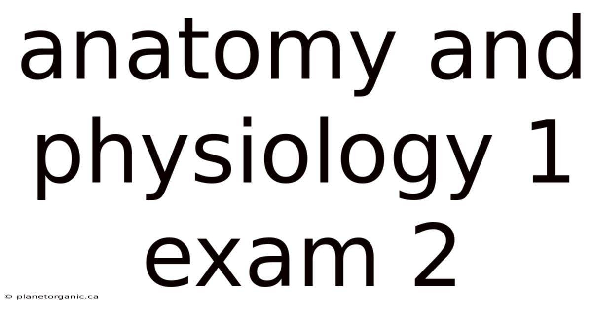 Anatomy And Physiology 1 Exam 2