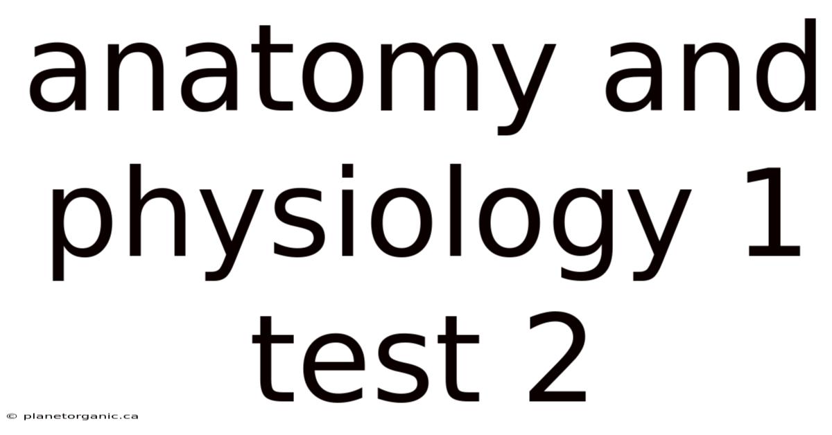 Anatomy And Physiology 1 Test 2