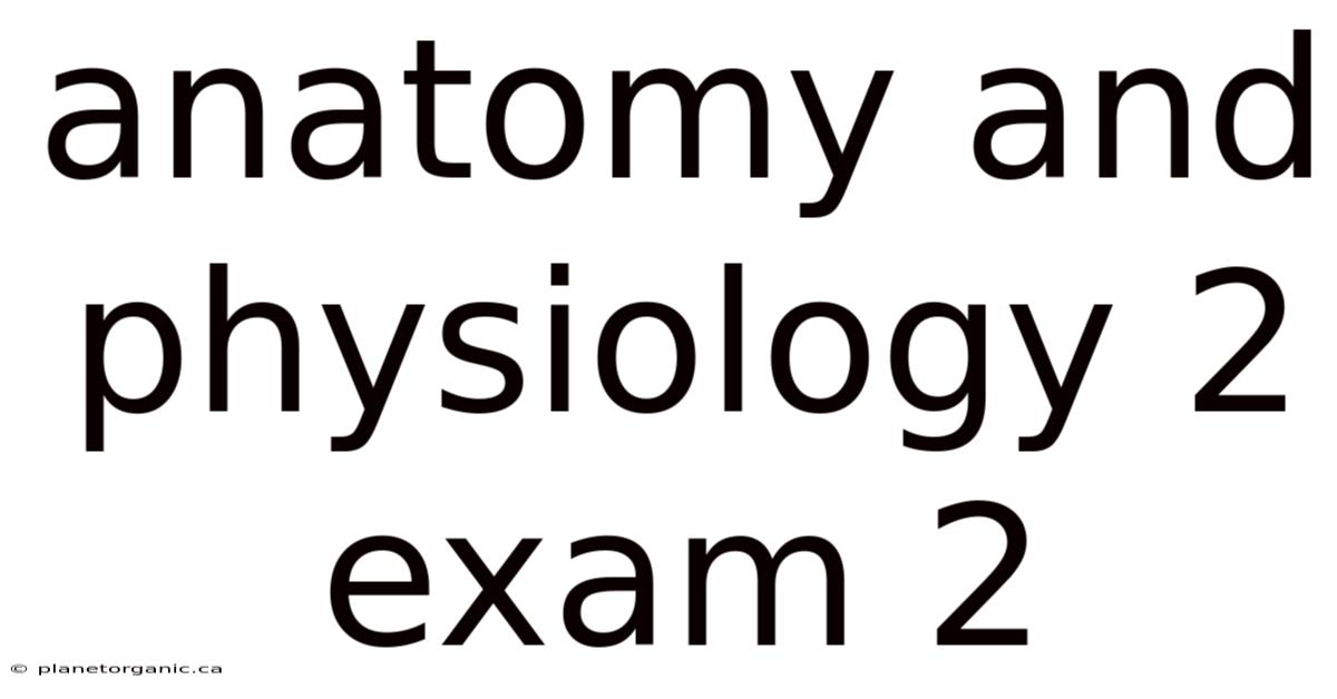 Anatomy And Physiology 2 Exam 2