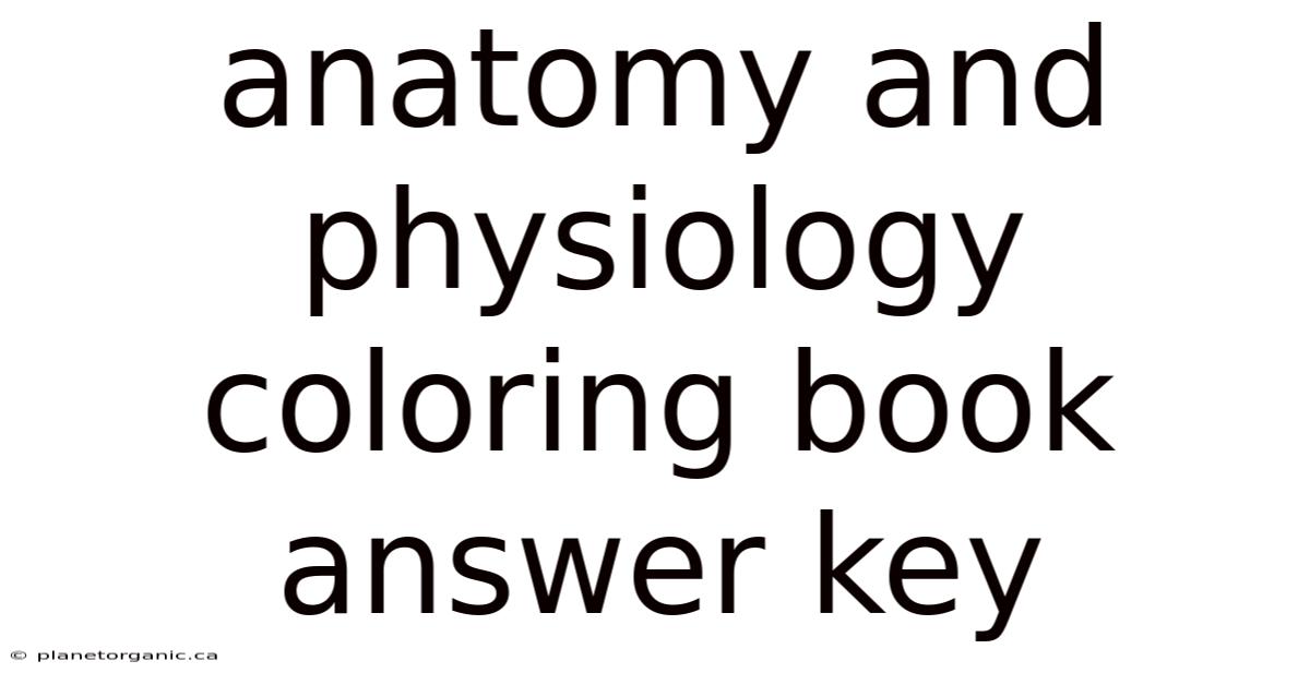 Anatomy And Physiology Coloring Book Answer Key