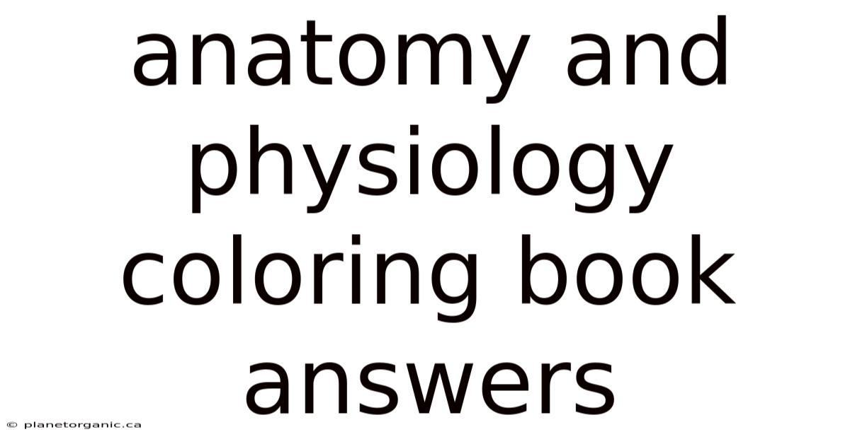 Anatomy And Physiology Coloring Book Answers