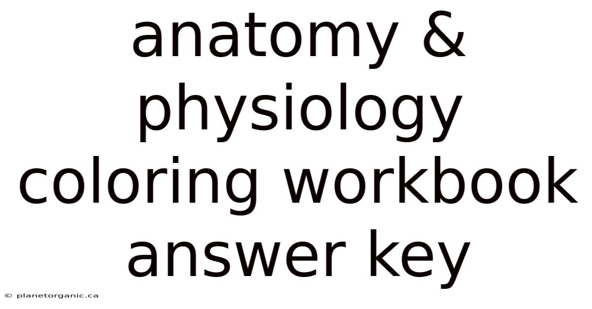 Anatomy & Physiology Coloring Workbook Answer Key