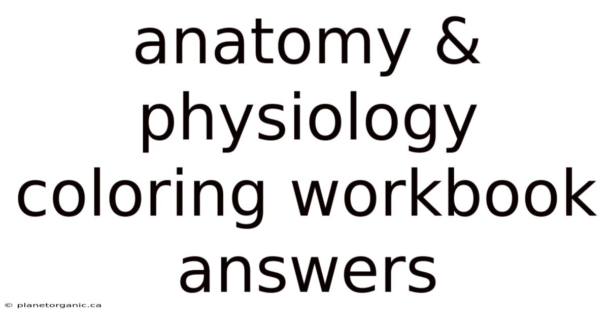 Anatomy & Physiology Coloring Workbook Answers
