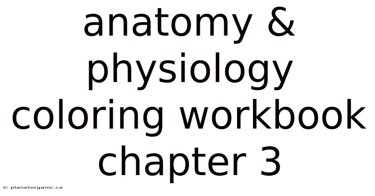 Anatomy And Physiology Coloring Workbook Chapter 3