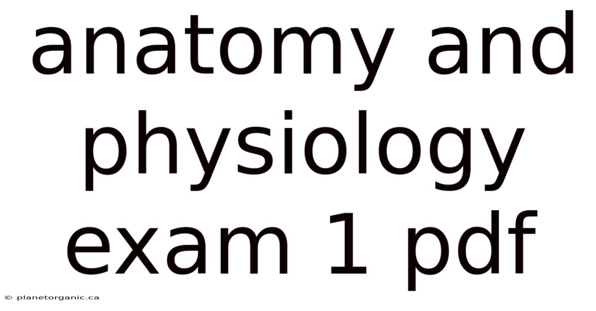 Anatomy And Physiology Exam 1 Pdf