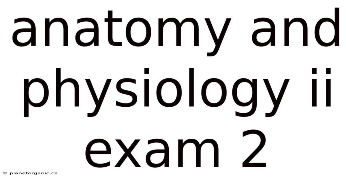 Anatomy And Physiology Ii Exam 2