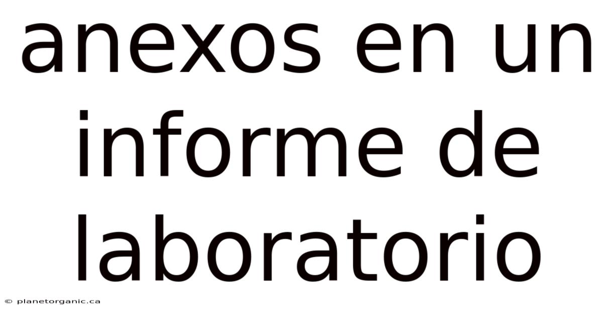 Anexos En Un Informe De Laboratorio
