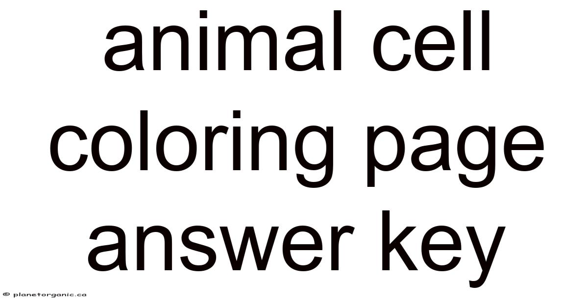 Animal Cell Coloring Page Answer Key