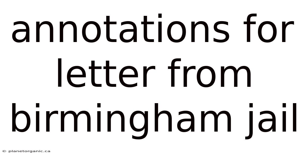 Annotations For Letter From Birmingham Jail