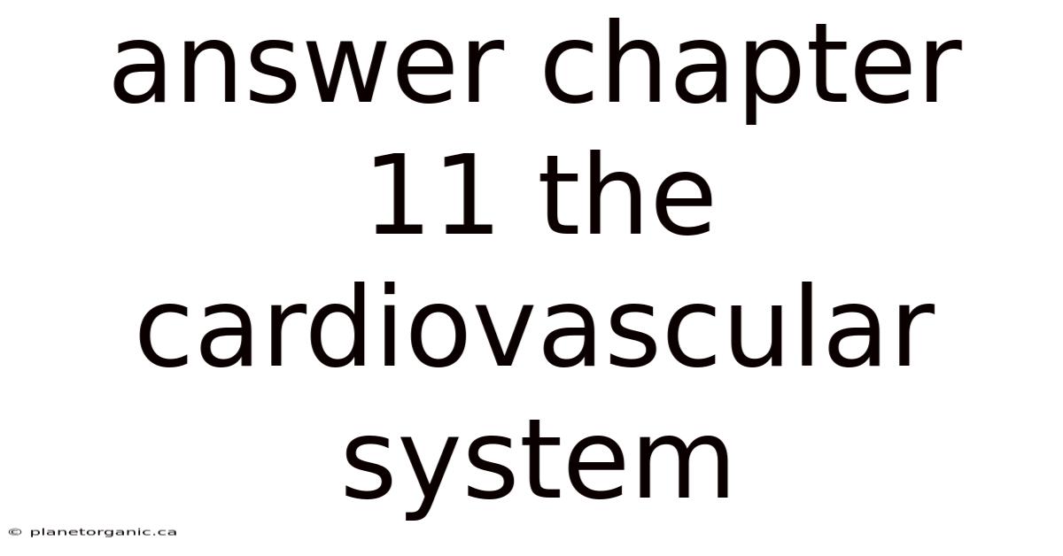 Answer Chapter 11 The Cardiovascular System