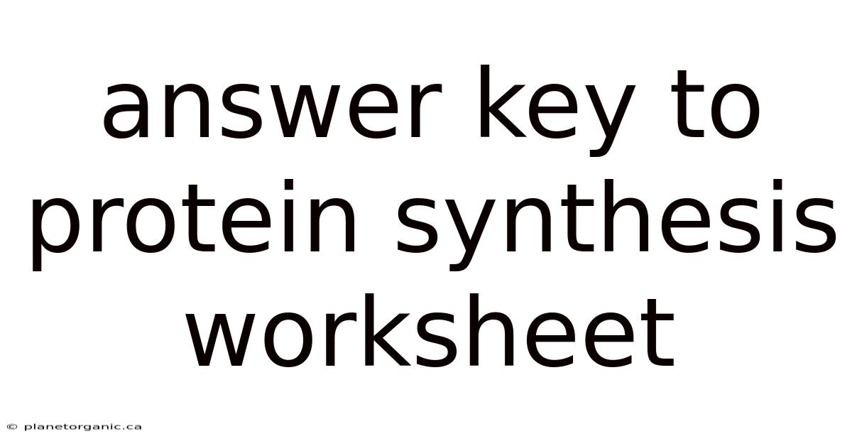 Answer Key To Protein Synthesis Worksheet