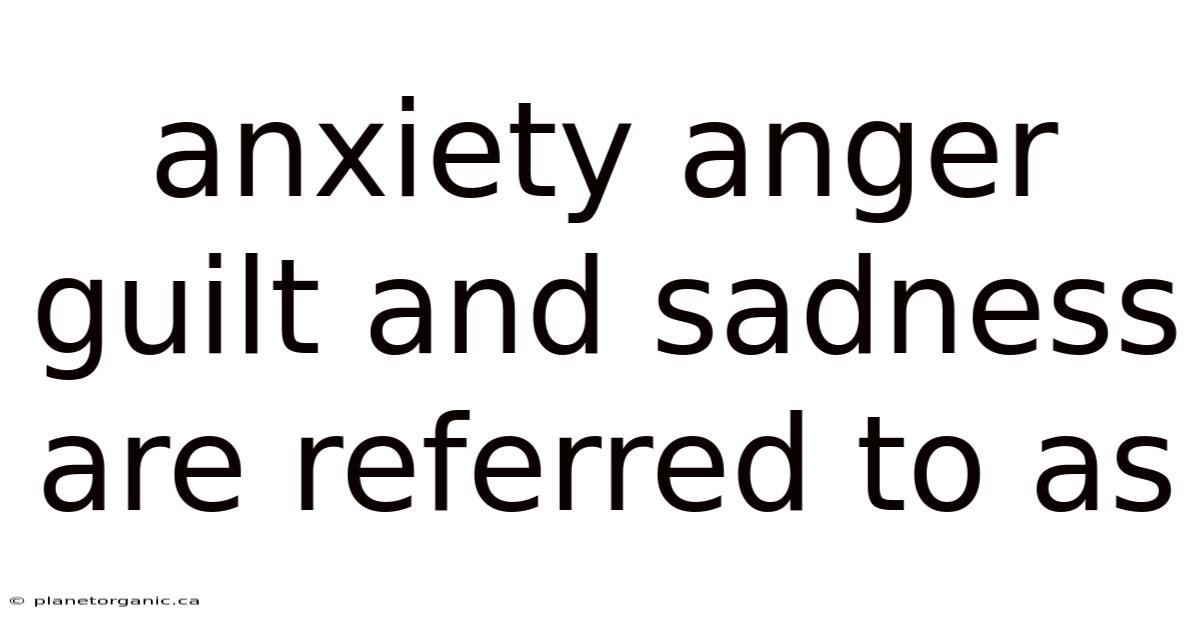 Anxiety Anger Guilt And Sadness Are Referred To As