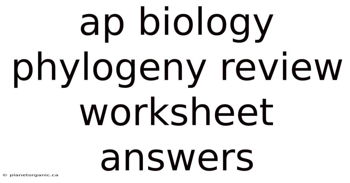 Ap Biology Phylogeny Review Worksheet Answers