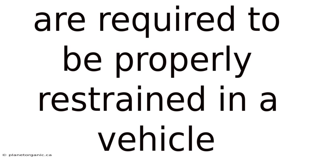 Are Required To Be Properly Restrained In A Vehicle