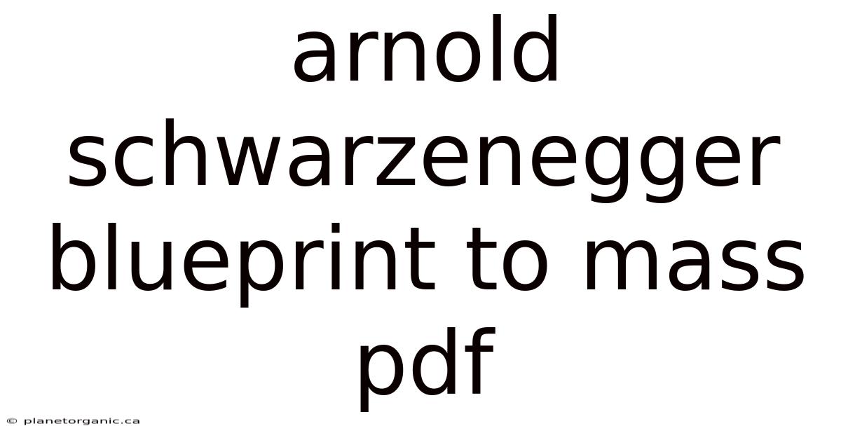 Arnold Schwarzenegger Blueprint To Mass Pdf