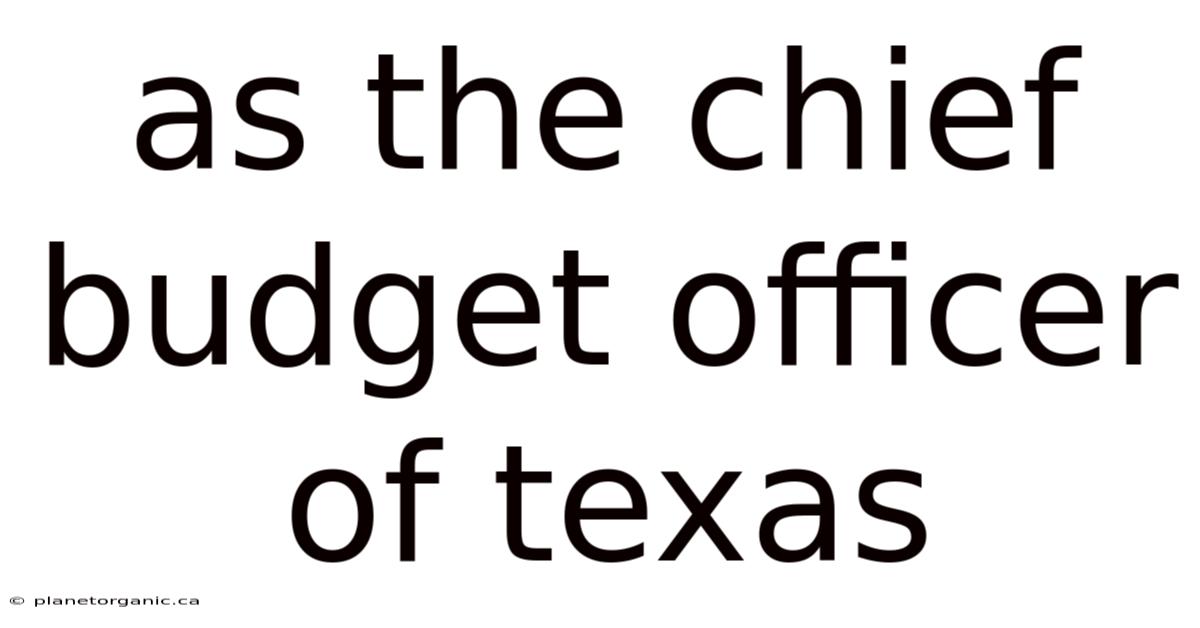 As The Chief Budget Officer Of Texas