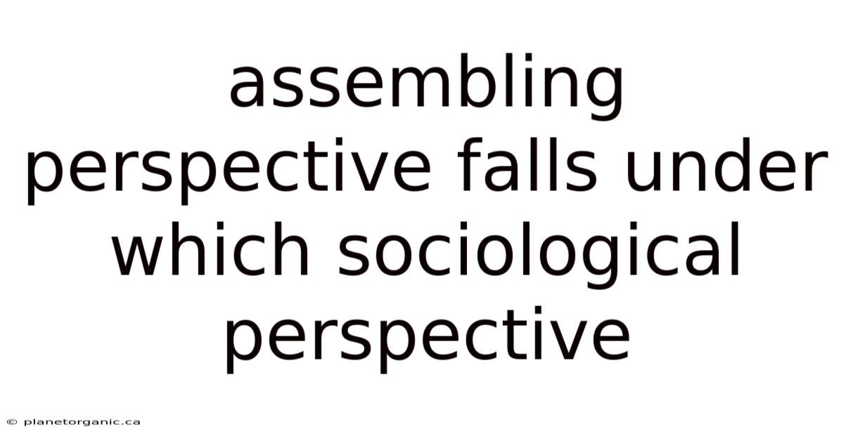 Assembling Perspective Falls Under Which Sociological Perspective