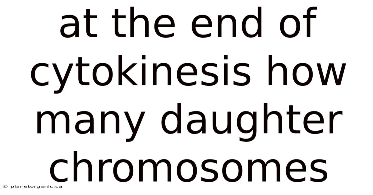 At The End Of Cytokinesis How Many Daughter Chromosomes