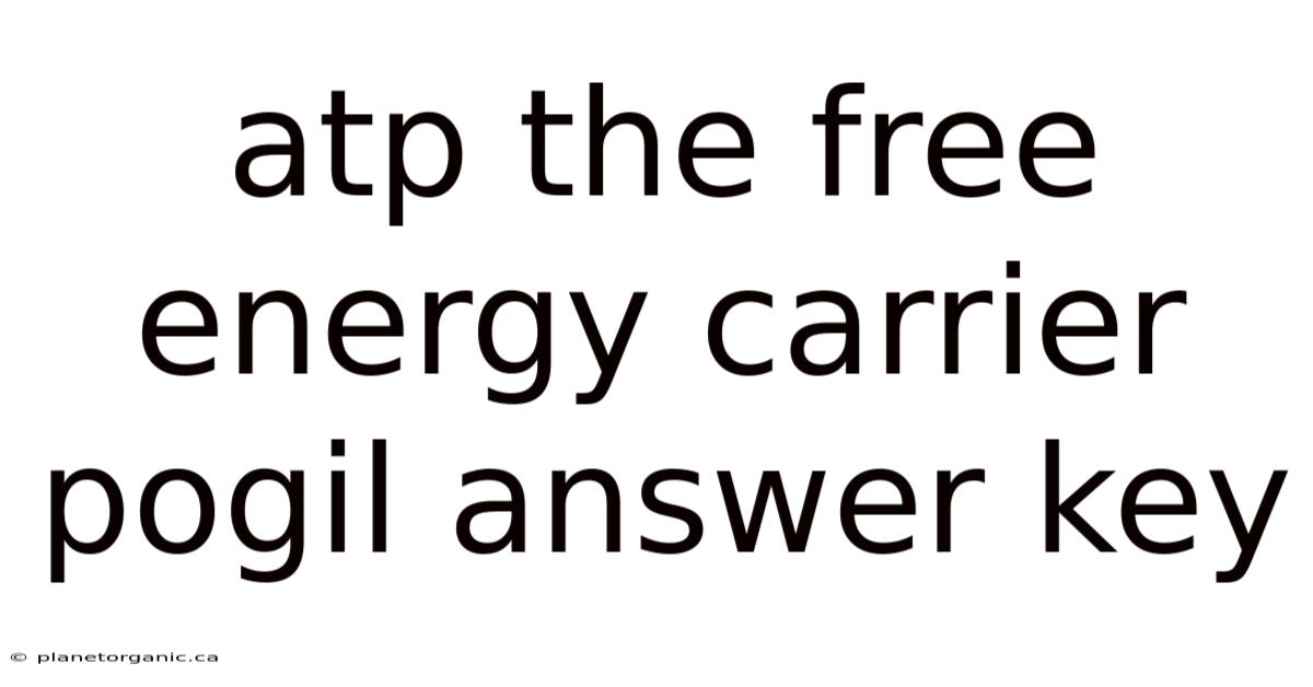 Atp The Free Energy Carrier Pogil Answer Key