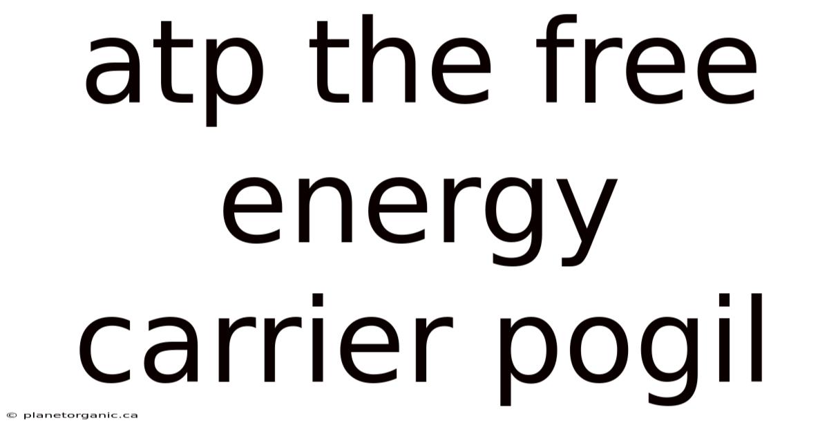 Atp The Free Energy Carrier Pogil