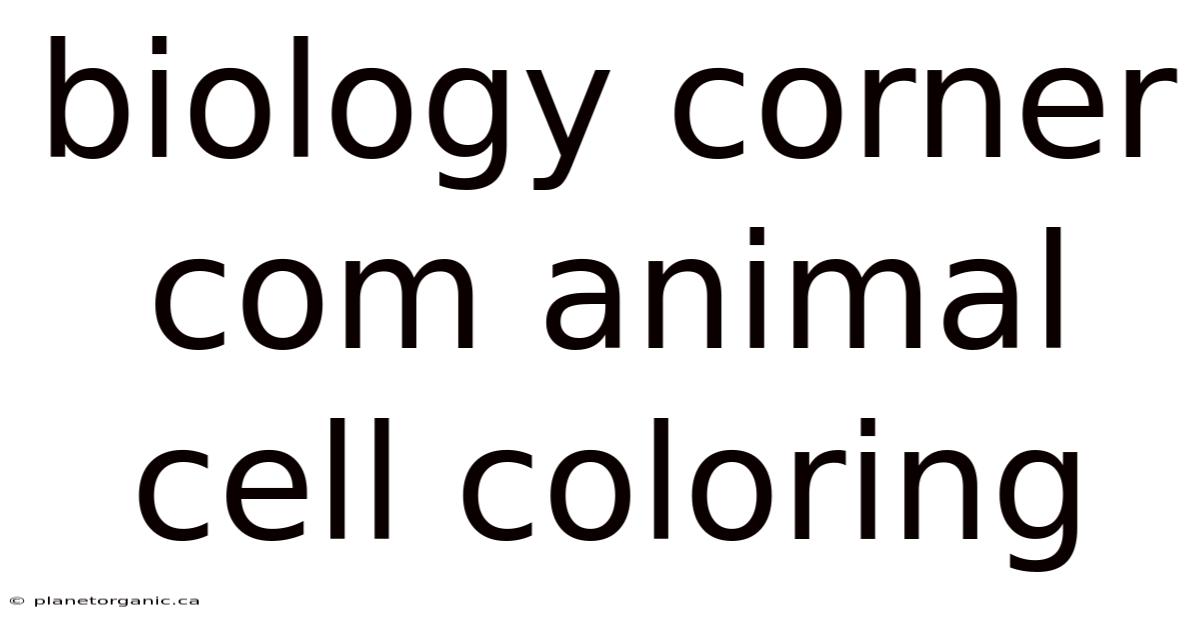 Biology Corner Com Animal Cell Coloring