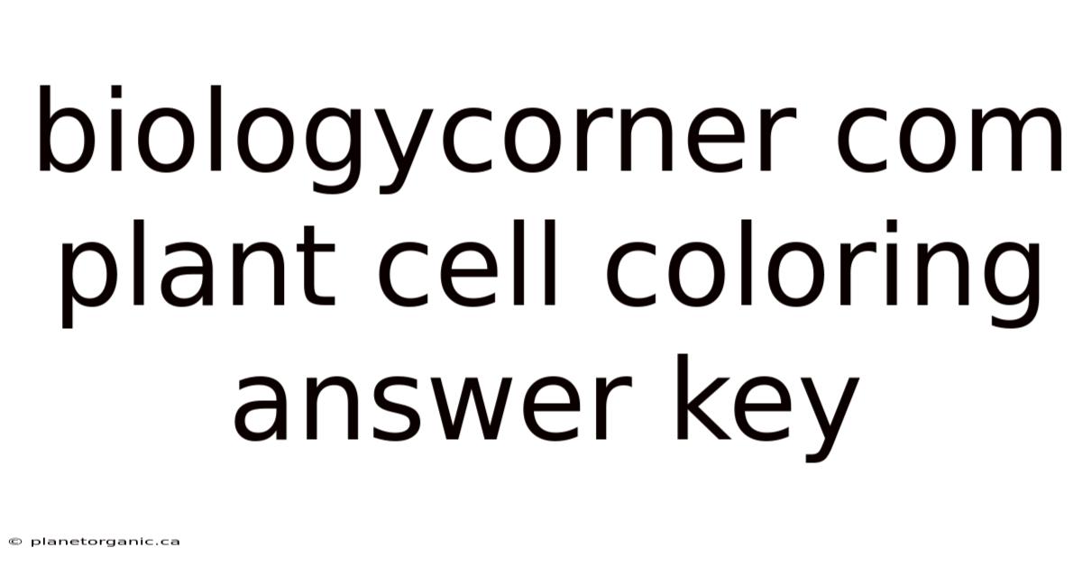 Biologycorner Com Plant Cell Coloring Answer Key