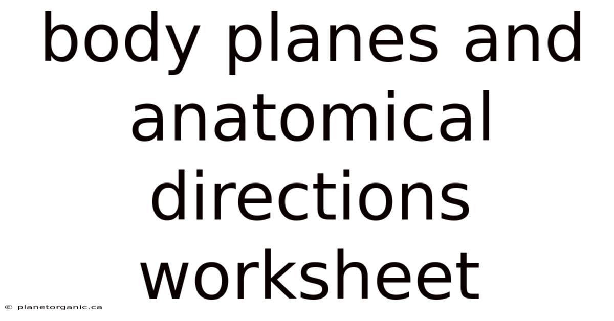 Body Planes And Anatomical Directions Worksheet
