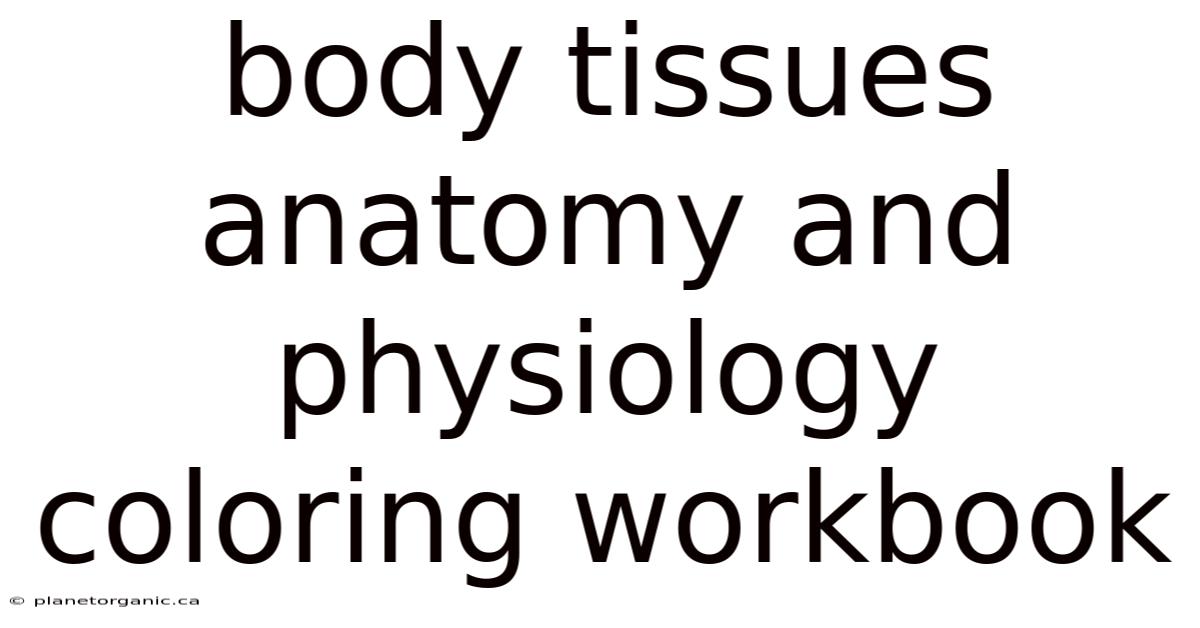 Body Tissues Anatomy And Physiology Coloring Workbook