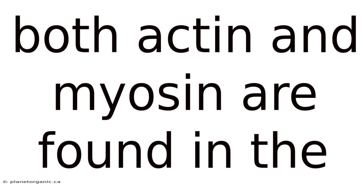 Both Actin And Myosin Are Found In The