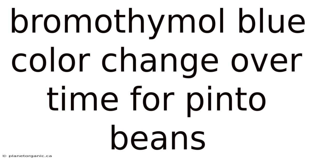 Bromothymol Blue Color Change Over Time For Pinto Beans