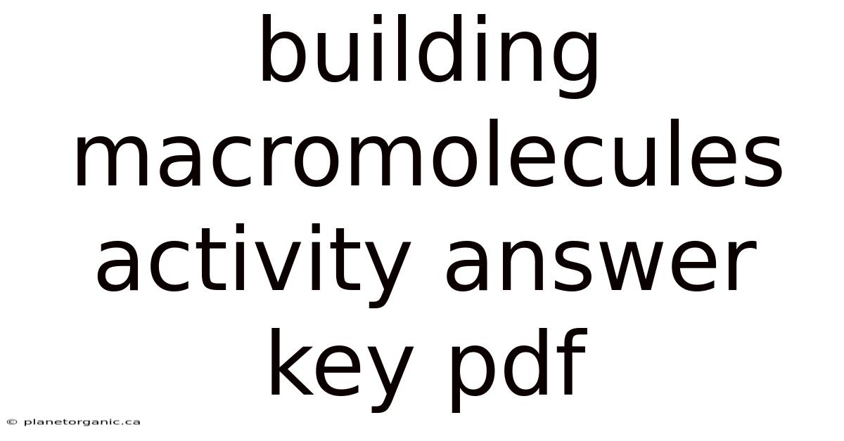 Building Macromolecules Activity Answer Key Pdf