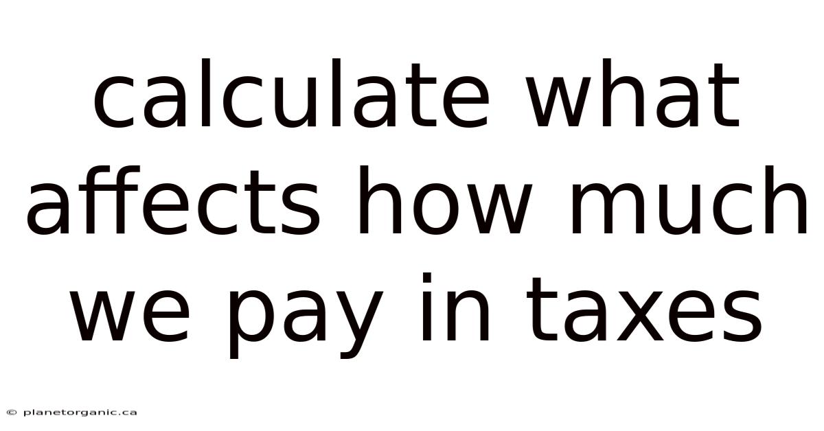 Calculate What Affects How Much We Pay In Taxes