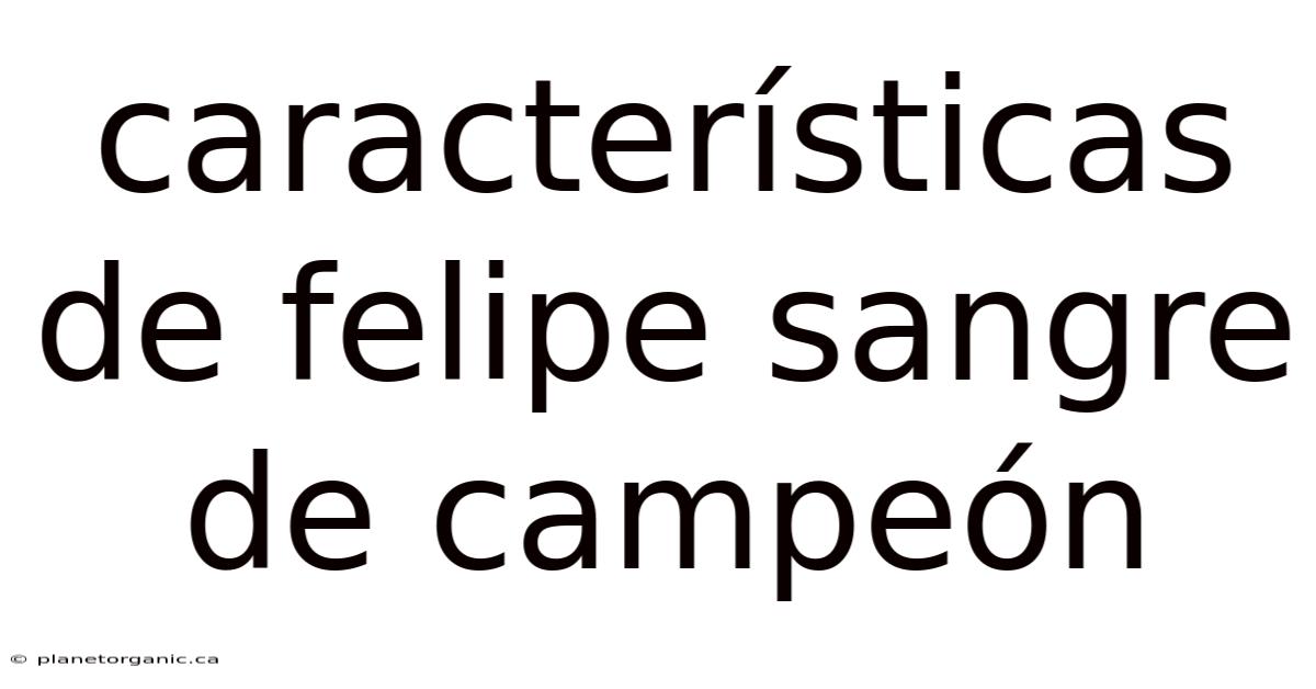 Características De Felipe Sangre De Campeón
