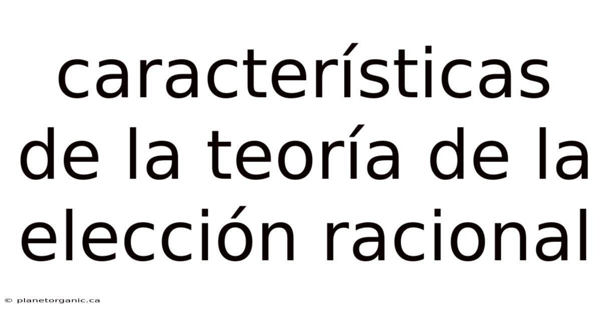 Características De La Teoría De La Elección Racional