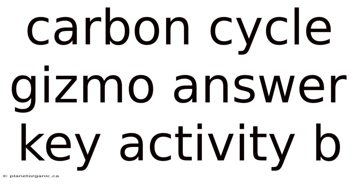 Carbon Cycle Gizmo Answer Key Activity B