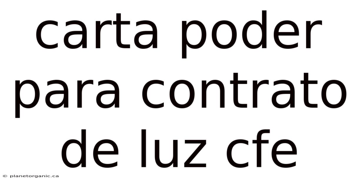 Carta Poder Para Contrato De Luz Cfe