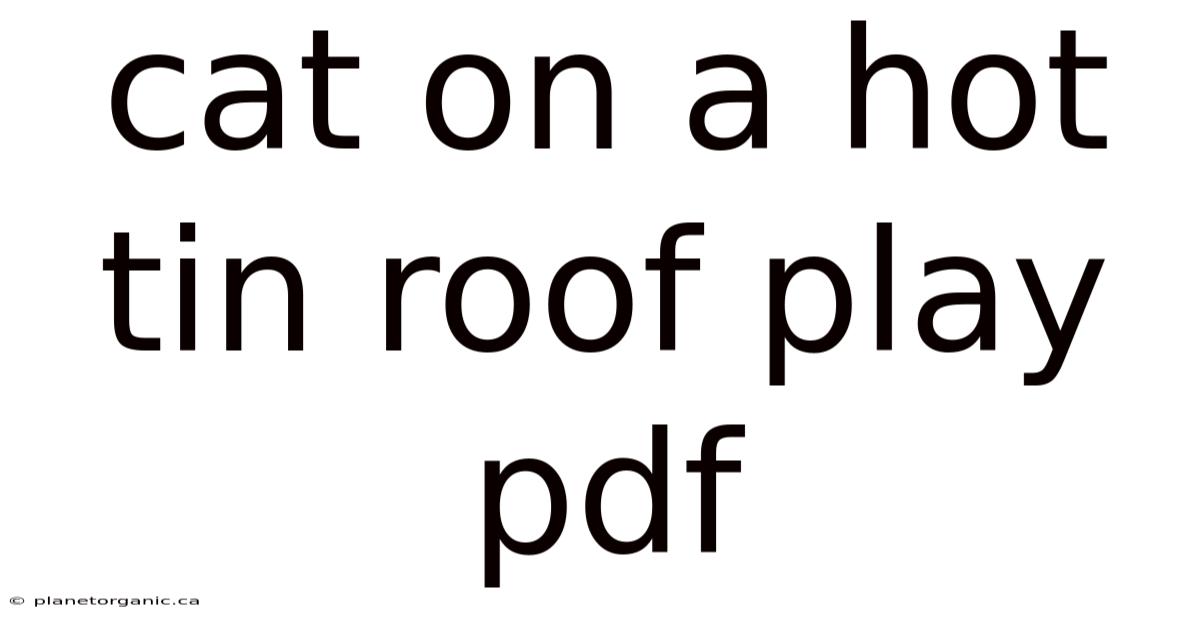 Cat On A Hot Tin Roof Play Pdf