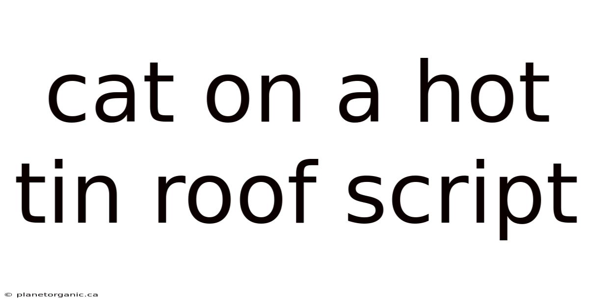 Cat On A Hot Tin Roof Script