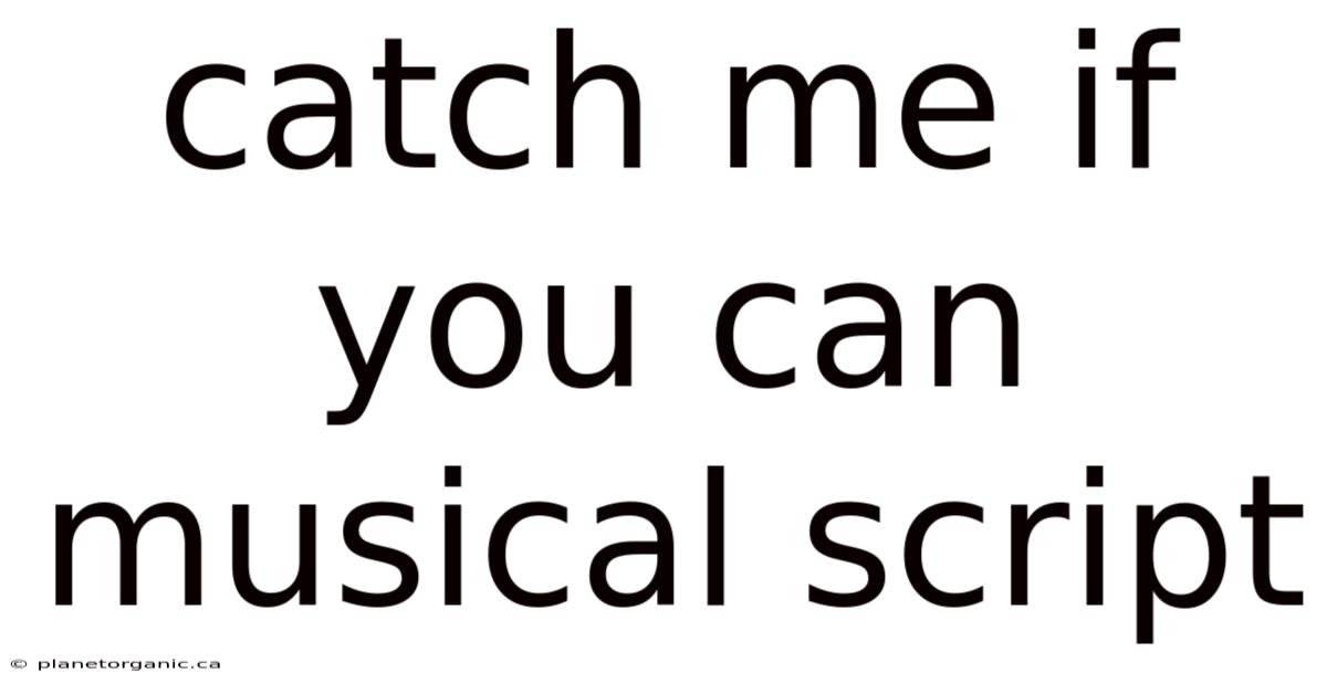 Catch Me If You Can Musical Script