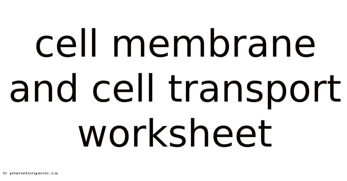 Cell Membrane And Cell Transport Worksheet