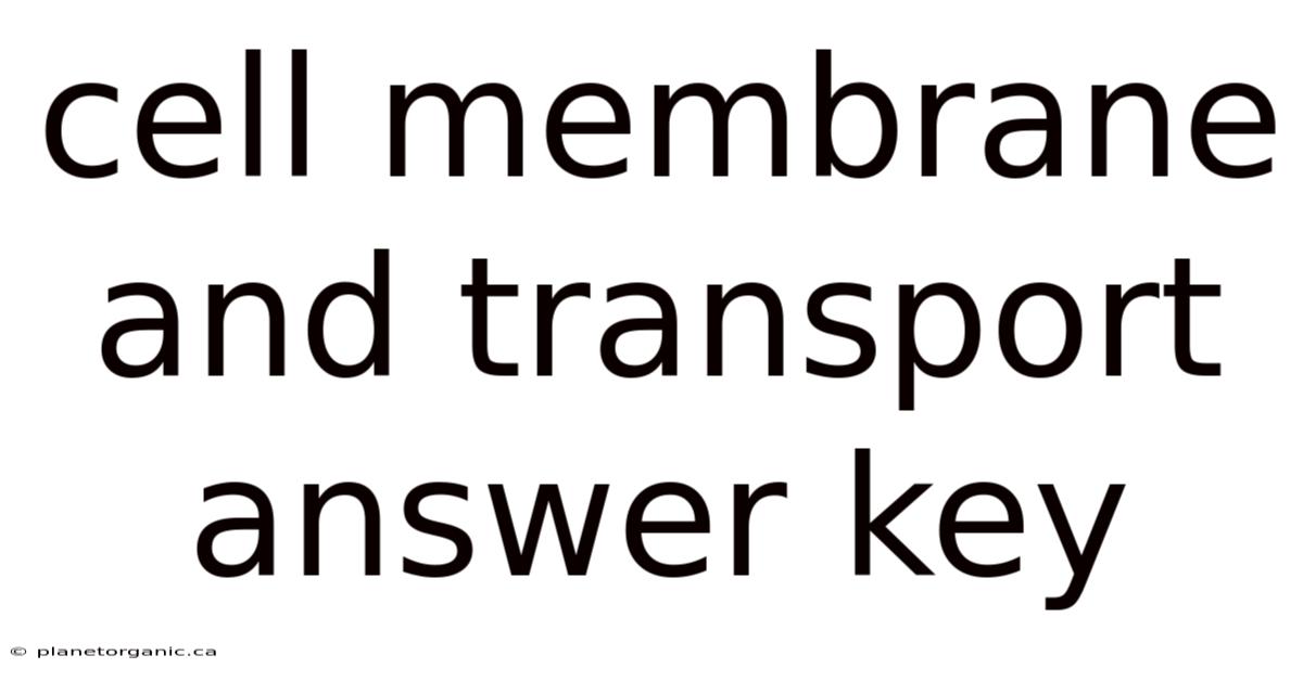 Cell Membrane And Transport Answer Key