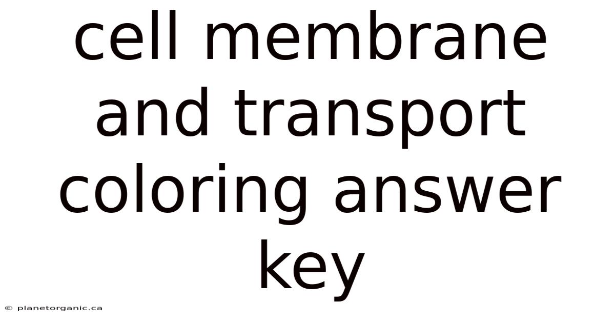 Cell Membrane And Transport Coloring Answer Key